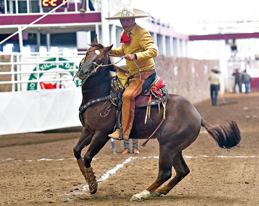 Charrería