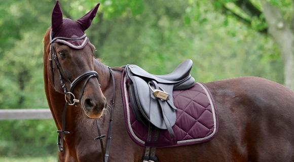 Horse Equipment