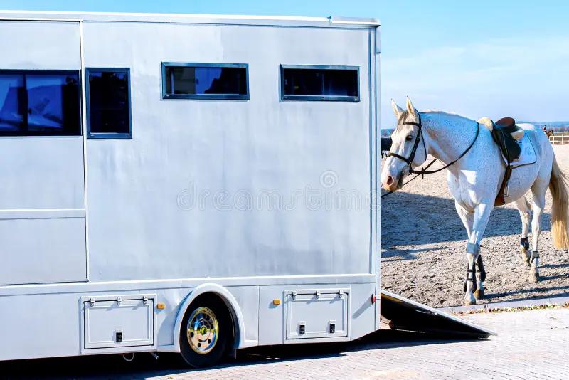 Transport
